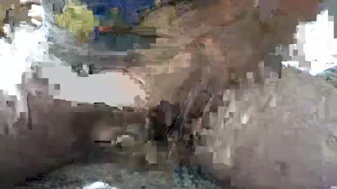 Snapshot of yankee85 chatting on October 2025 05:38:01 AM Yankee online show from October 2025 05:38:01 AM