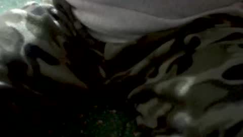 Snapshot of yankee85 chatting on February 2026 05:28:02 AM Yankee online show from February 2026 05:28:02 AM