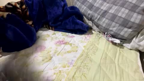 yasarsimo99154258 online show from February 2026 12:09:01 AM