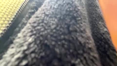 yasarsimo99154258 online show from April 2026 10:59:01 AM