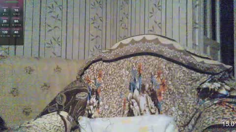 Snapshot of yatocka chatting on January 2025 07:48:01 AM Sven online show from January 2025 07:48:01 AM