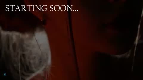 Snapshot of yeepshyy chatting on June 2026 06:19:01 PM Kate online show from June 2026 06:19:01 PM