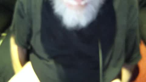 .     y e l l o w s n a k e s       . online show from September 2025 07:57:01 AM