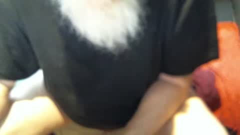 .     y e l l o w s n a k e s       . online show from December 2025 06:04:01 PM