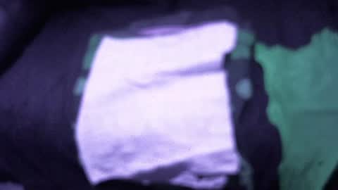 .     y e l l o w s n a k e s       . online show from December 2025 04:00:01 PM