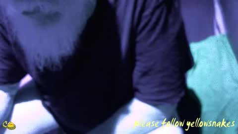 .     y e l l o w s n a k e s       . online show from December 2025 01:28:01 PM