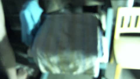 .     y e l l o w s n a k e s       . online show from February 2026 05:14:02 AM