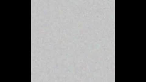 Snapshot of yellowsnakes chatting on March 2026 11:38:02 AM . y e l l o w s n a k e s . online show from March 2026 11:38:02 AM