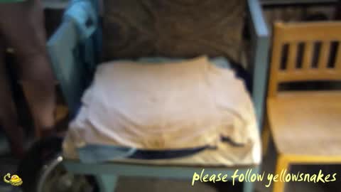 Snapshot of yellowsnakes chatting on March 2026 03:08:01 PM . y e l l o w s n a k e s . online show from March 2026 03:08:01 PM