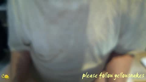 Snapshot of yellowsnakes chatting on April 2026 02:25:02 PM . y e l l o w s n a k e s . online show from April 2026 02:25:02 PM