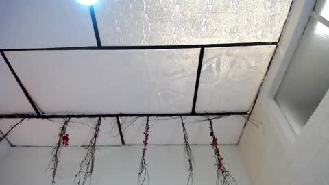 YEM online show from March 2026 04:44:02 PM