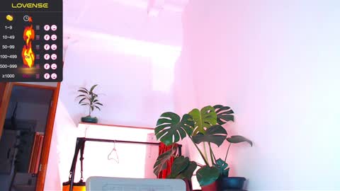 Enzo online show from January 2025 03:09:02 AM