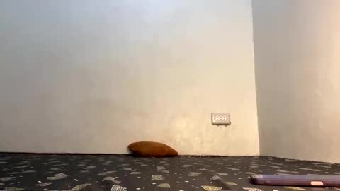 fin online show from April 2026 06:09:01 AM