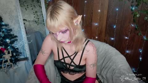 Stella online show from December 2024 01:54:02 PM