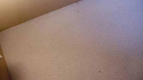 Sophiestar online show from April 2026 07:36:02 AM