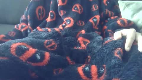 Youraccord online show from April 2026 09:29:02 AM