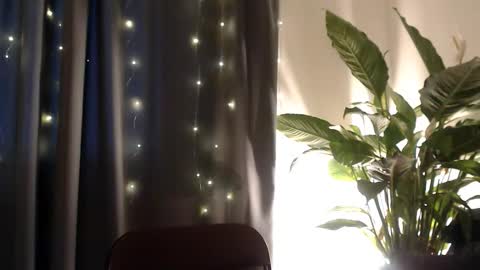 YourDalia online show from November 2025 12:26:01 PM