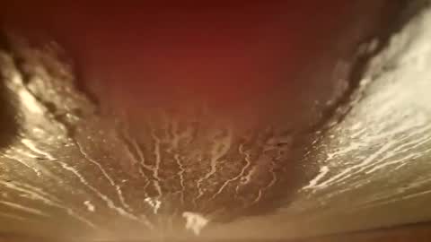 youth505 online show from December 2025 02:20:01 AM