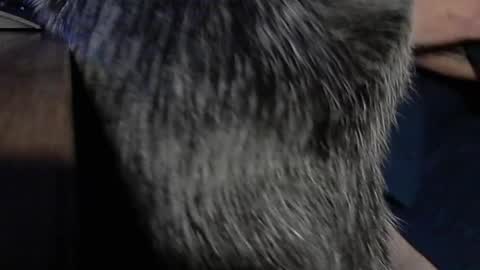 YumGuy69 online show from September 2025 12:40:01 PM