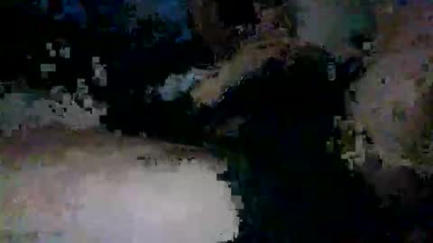 Snapshot of yungnympho25 chatting on May 2026 12:58:01 PM yungnympho25 online show from May 2026 12:58:01 PM