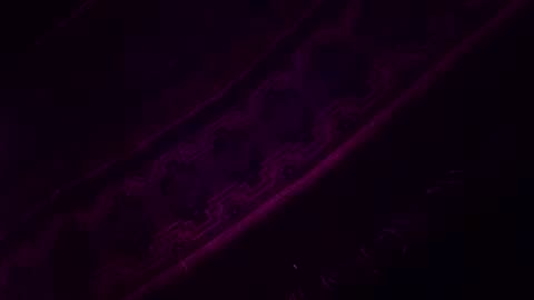 Z0RL0C online show from February 2026 09:06:01 AM