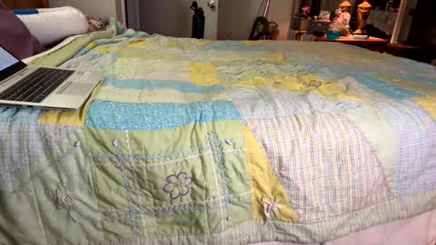 Aiden online show from January 2025 03:20:02 AM