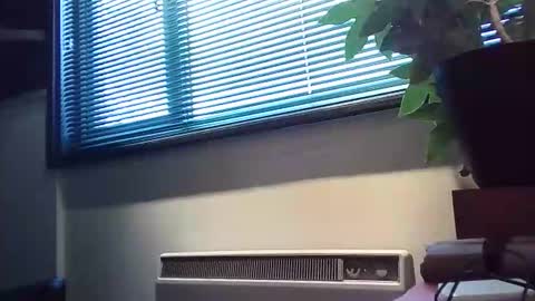 zalina2 online show from February 2026 04:03:02 PM