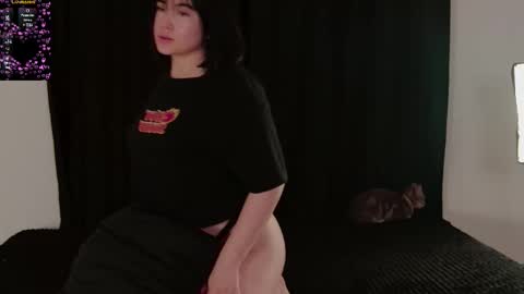 zamila online show from February 2026 09:38:01 AM