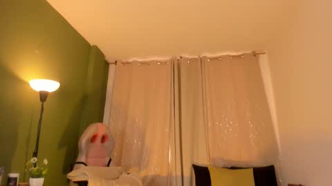 Zara . online show from February 2026 12:08:01 PM