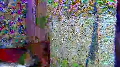 zarinamarlin online show from April 2026 07:03:02 AM