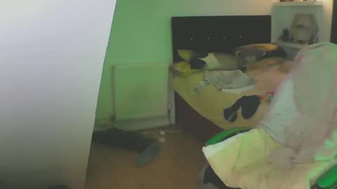 Zed online show from December 2024 01:44:01 PM