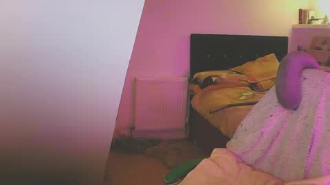 Zed online show from January 2025 07:48:01 PM