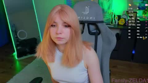 Snapshot of zelda_1 chatting on May 2026 11:52:02 AM Zelda online show from May 2026 11:52:02 AM