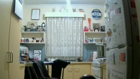 zempo2 online show from June 2026 03:14:01 PM