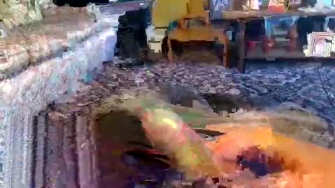 Snapshot of zerrannor chatting on November 2025 09:00:02 AM Zerr online show from November 2025 09:00:02 AM