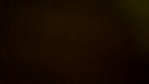 Snapshot of zeus6906 chatting on November 2025 09:24:02 PM 9.3 inch online show from November 2025 09:24:02 PM