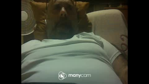 Snapshot of zeusdioss chatting on July 2026 12:48:02 AM zeusdioss online show from July 2026 12:48:02 AM