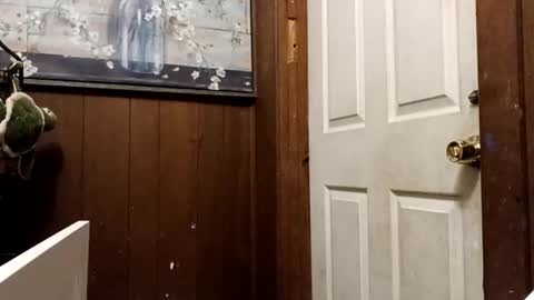 zfdcuvxqqtzh online show from November 2025 03:27:01 AM