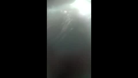 zigfoxkiuoid online show from April 2026 06:10:02 AM