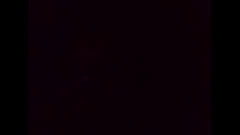 Ziggy online show from December 2024 12:03:01 PM