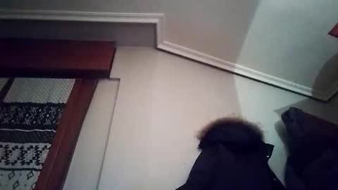 Snapshot of zigor13 chatting on February 2026 09:31:02 PM zigor13 online show from February 2026 09:31:02 PM