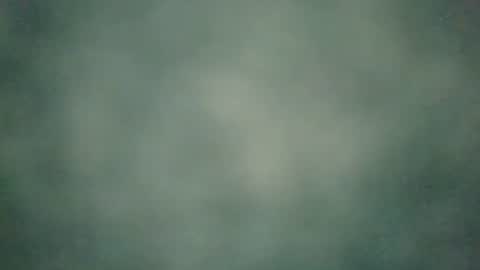 Snapshot of zobilov chatting on December 2024 06:50:02 AM zobilov online show from December 2024 06:50:02 AM