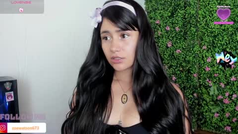 Snapshot of zoe_wattson chatting on January 2025 02:46:02 AM Zoe online show from January 2025 02:46:02 AM