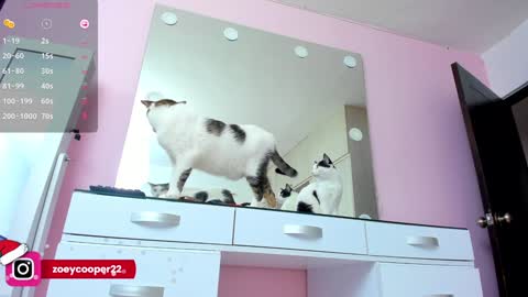 zoey  Independent model online show from December 2024 08:15:01 PM