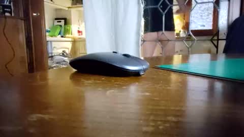 Zomas online show from April 2026 05:24:01 AM