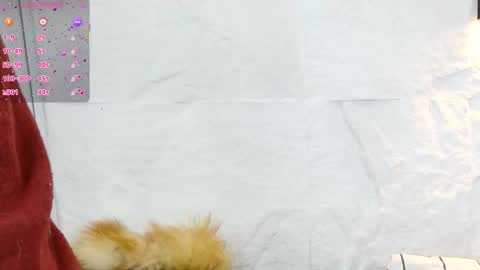 Violeta online show from December 2025 01:20:01 PM