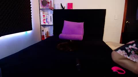 Snapshot of zpzphot chatting on February 2026 04:42:02 AM zpzphot online show from February 2026 04:42:02 AM