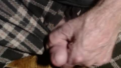 ZZ online show from January 2026 11:59:01 AM