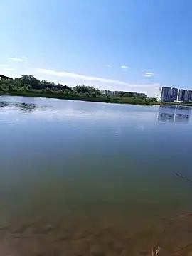 JuliKim  online show from September 2025 02:09:02 PM