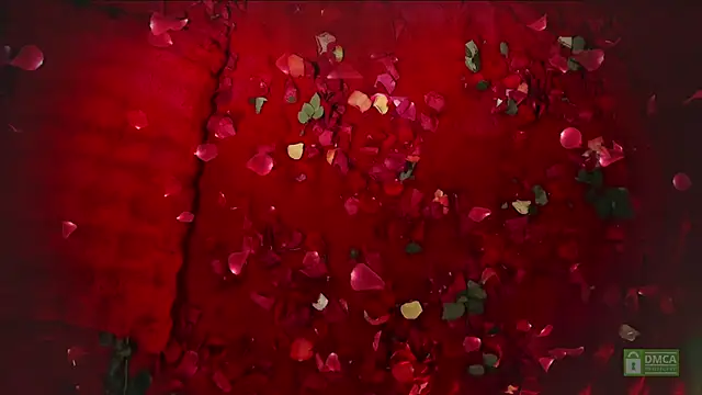 Snapshot of abbyhall_ chatting on February 2026 08:49:02 PM abbyhall online show from February 2026 08:49:02 PM